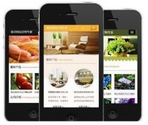 手機(jī)網(wǎng)站怎樣做才更有效果？如何做優(yōu)化？