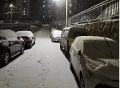 青島！大雪！大愛(ài)！