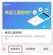 騰訊信用分全國公測，查了一下之后懵逼了。。