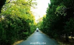 5月的5個(gè)好消息你一定要知道