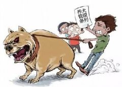 青島10月份一大波勁爆消息，你知道嗎？