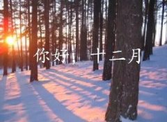 抓住2016年的尾巴給自己充充電！12月，加油！