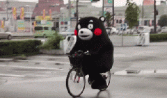 青島也有“共享單車”啦！說騎就騎的旅程GO