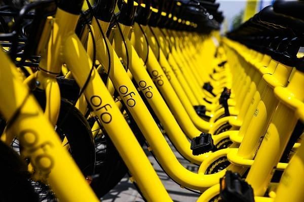 退押金排到1000多萬號，感覺ofo要涼了